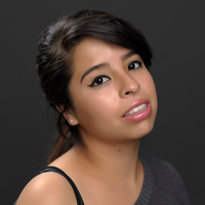 Elinchrom-69-JICON-300